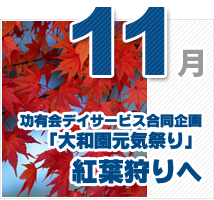 11月のイベント