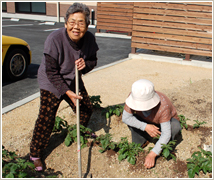 家庭菜園