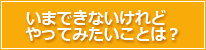 いまできないけれどやってみたいことは？