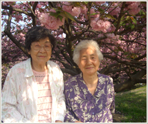お花見