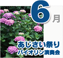 6月のイベント