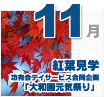 11月のイベント